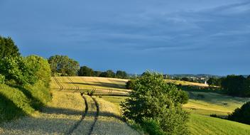 Twilight Field green