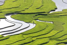 Blind Stretch Comb Water in Lao Cai