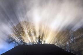 Beautiful landscape of the hill, near the trees, at beautiful dawn