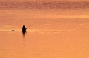 Fish Dawn person