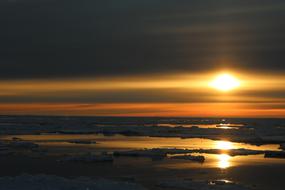 dark Golden Sunset