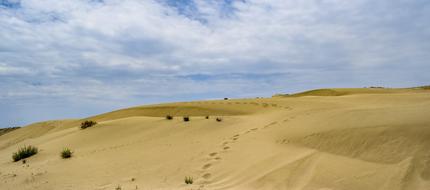 Footsteps Dunes Sand brown