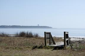 Sea Beach cold