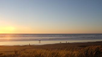 Beach Sand Water grass