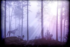 Beautiful forest landscape with the unicorn, at purple sky