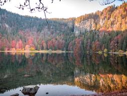 Lake red green Forest, feldberg