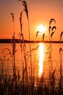 landscape of lake water at sunset light