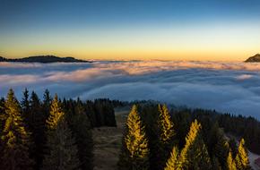Sunset Mountains Fog trees