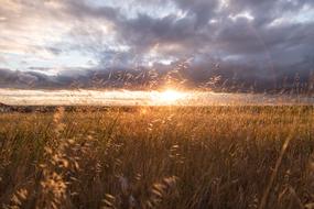 sunset through the dark clouds over the meadow