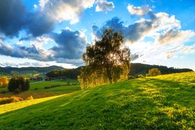 green Hell Land