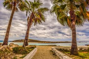 Beautiful Nissi Beach with palms in Ayia Napa, Cyprus, Greece