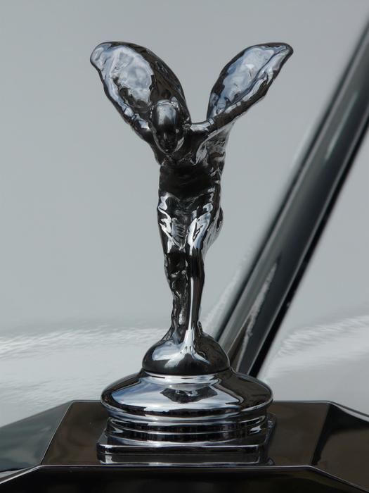 Cool Figure Ornament