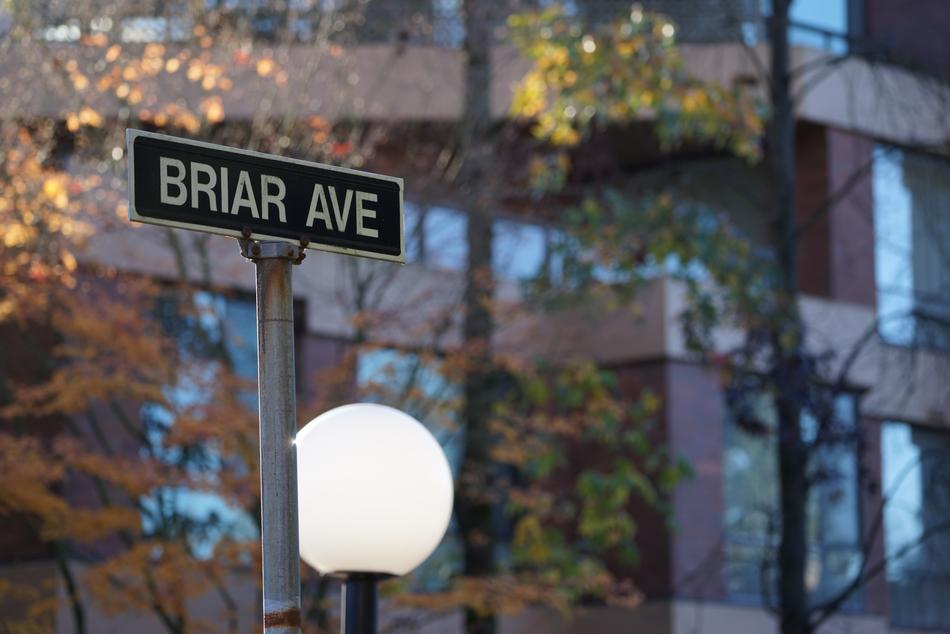 City Road Signs The Leaves