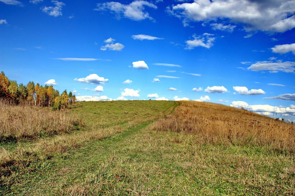Autumn Road