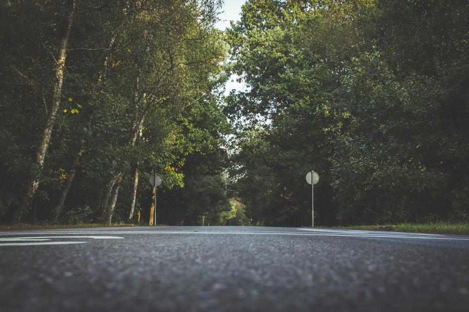 Road Trees Nature