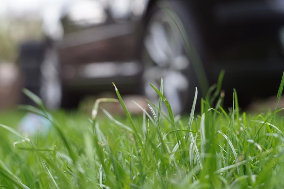 Vehicle Car Green
