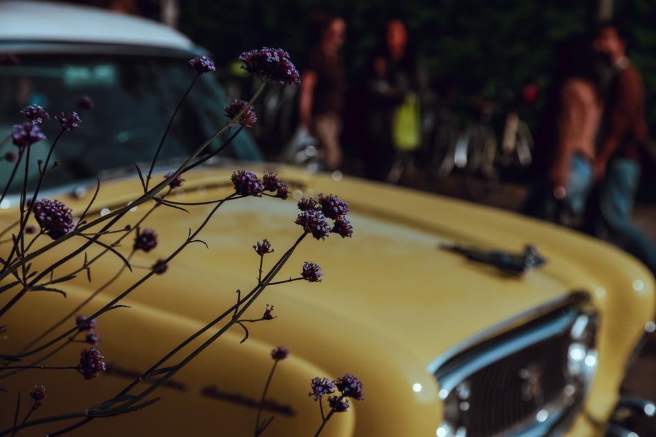 Car Vintage