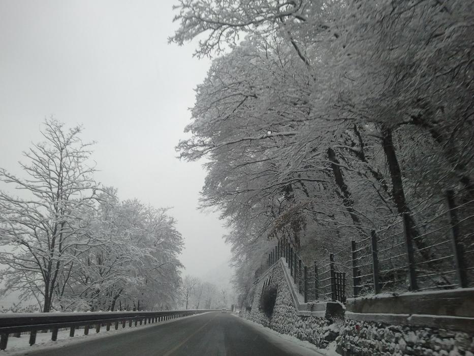 Snow Road