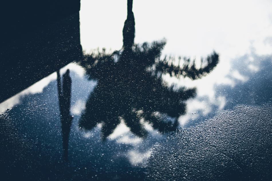Water Road Reflection