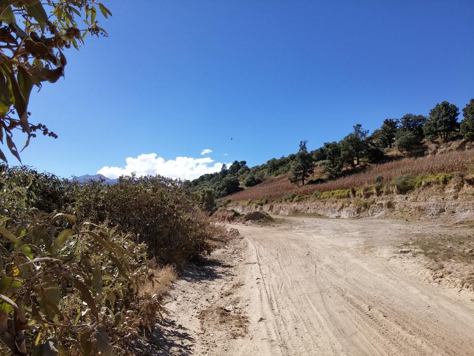 open road in the field