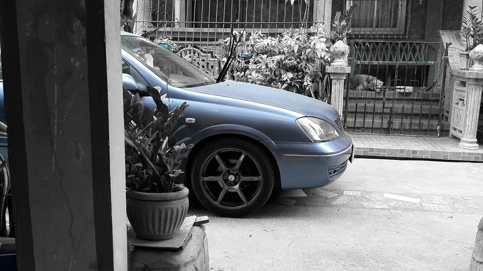Street N16 Sentra