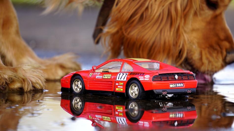 Car Model Vehicle