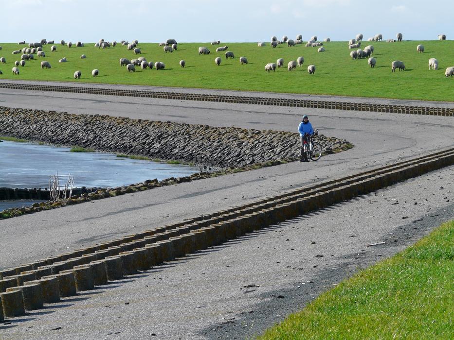 Dike Road North Sea
