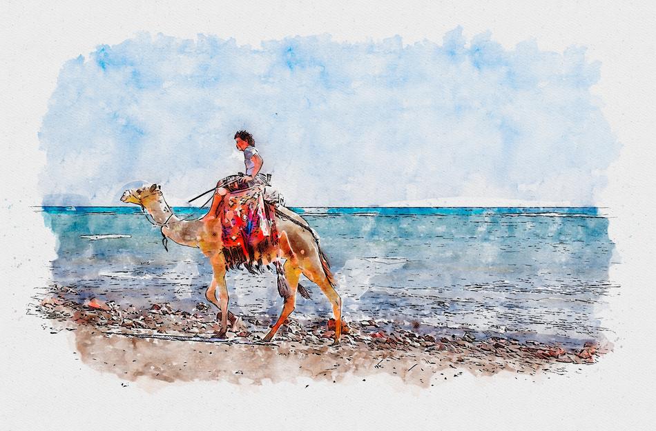 watercolor drawing of camel on beach near sea
