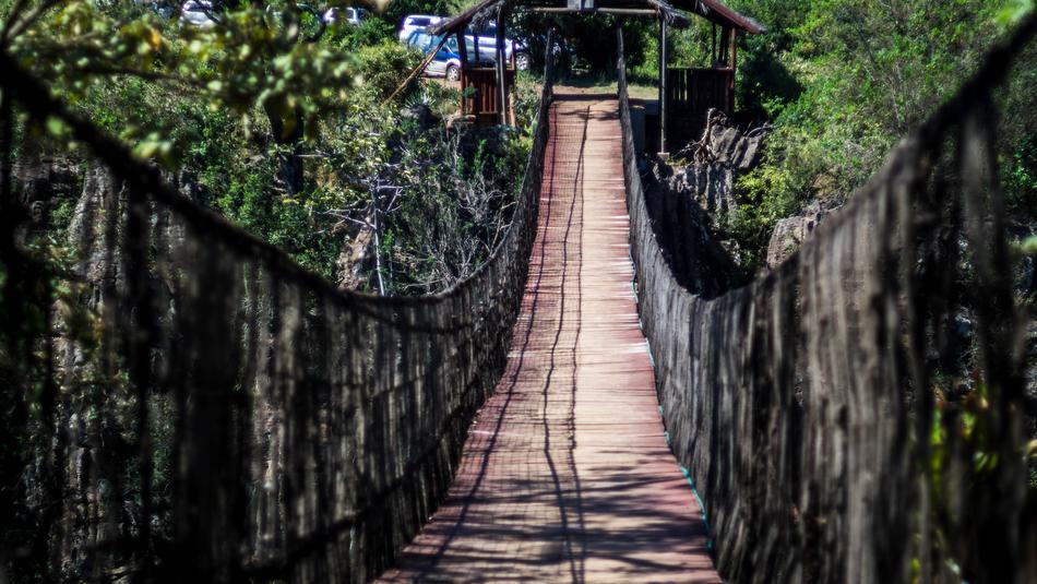 suspension bridge in kenya nature