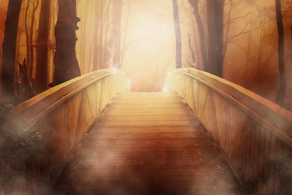 golden bridge in the mystical forest