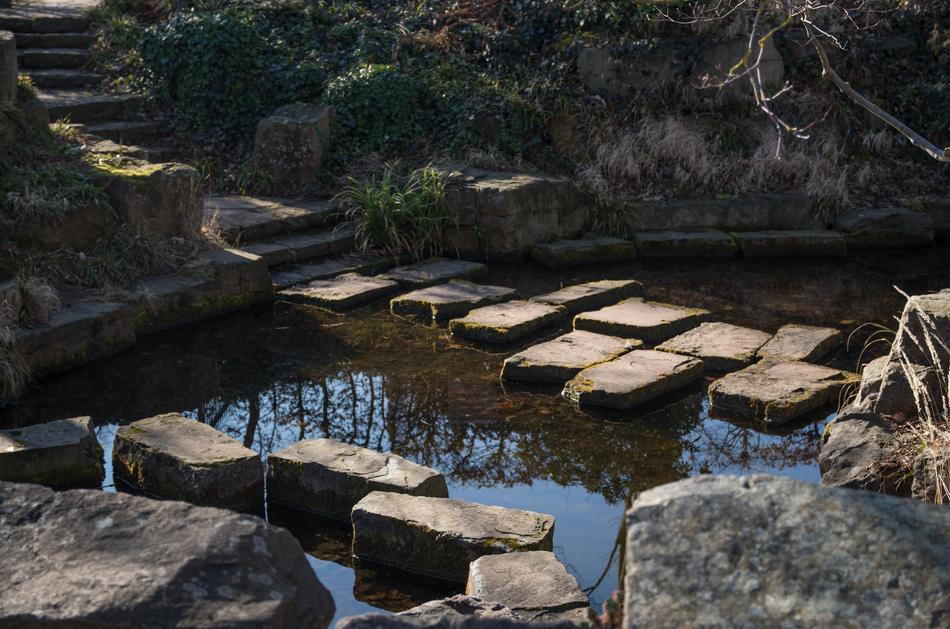 stones in the park pond near the plants