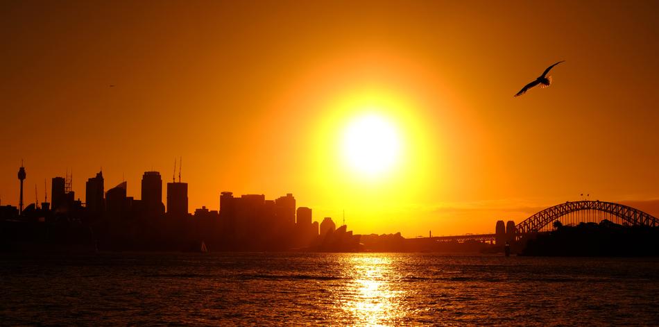 bright setting sun over the harbor bridge