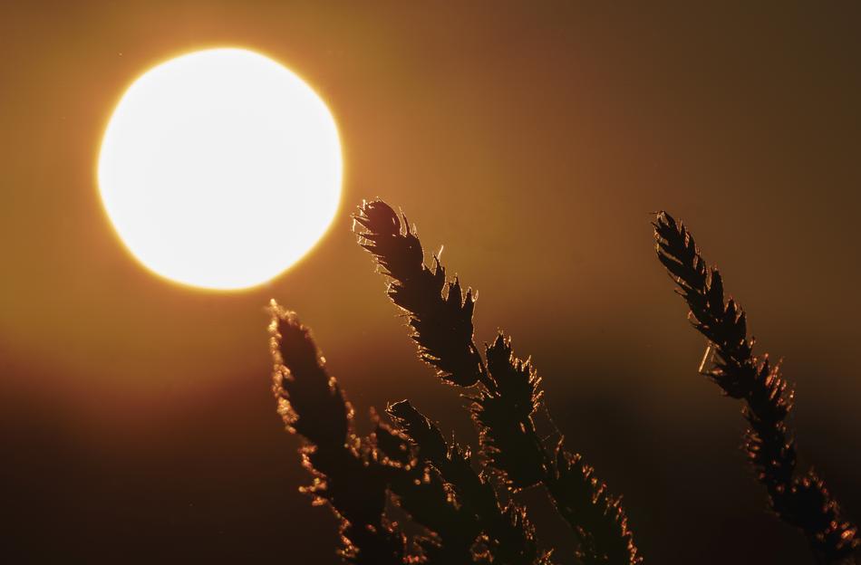 Sunset Atmosphere Twilight