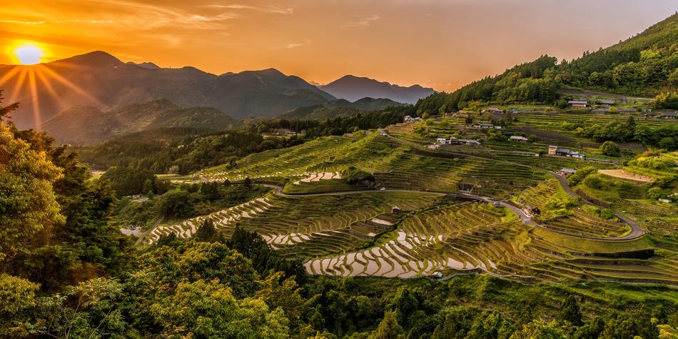 Beautiful landscape of the colorful rice terraces on the mountains, at colorful sunset in Maruyama Senmaida, Japan