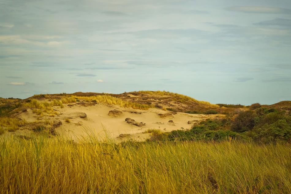 magnificent Beach Dune