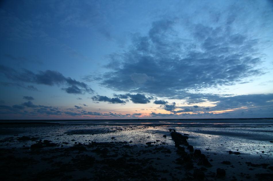 blue twilight over the wadden sea