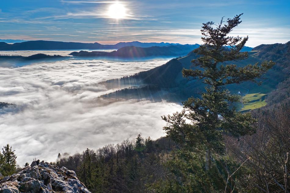 foggy at the foot of the hills