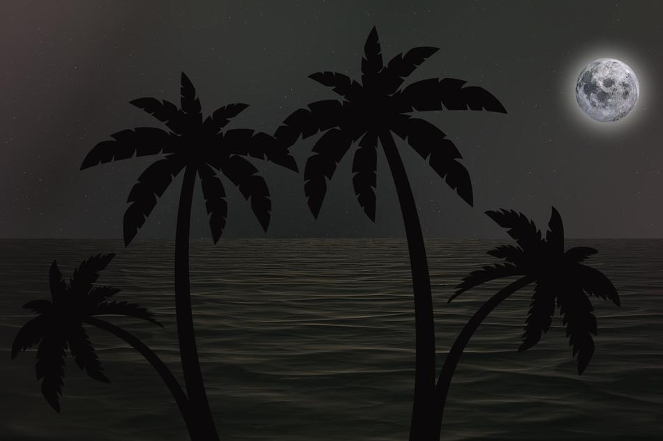 clipart of the palm trees on a coast and moon