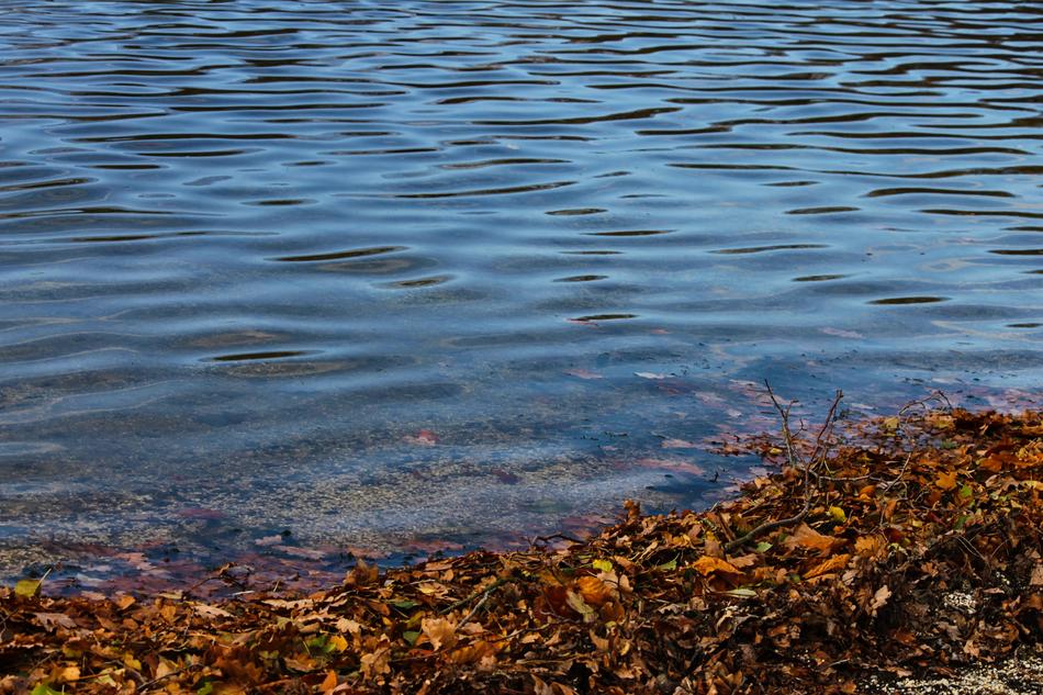 Beautiful and colorful lakeside with the ripple, in the autumn