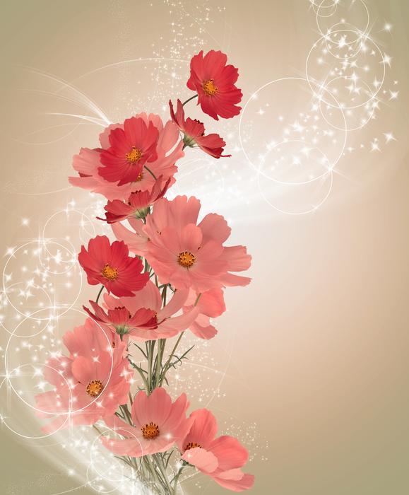 beautiful Flower Background Postcard