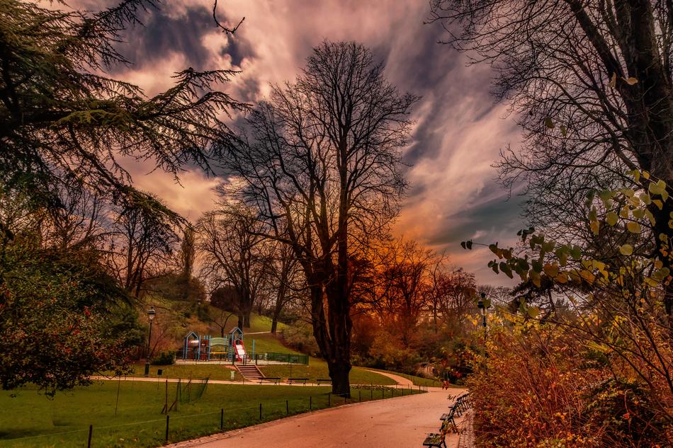 scenic evening in park at fall, France, Paris
