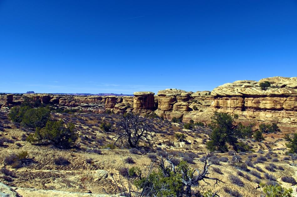 Slickrock Trail Needles