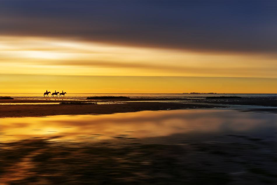 Silhouettes of horse riders on a background of golden sunset