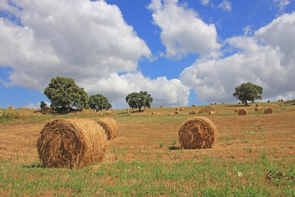 landscape of Tuscany Sky Vacations