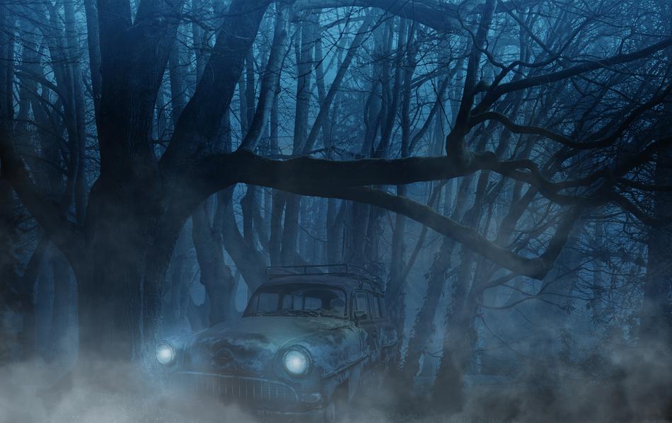 car in the forest during fog