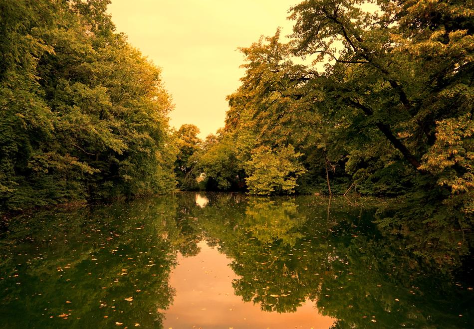 orange sky mirroring on pond in park