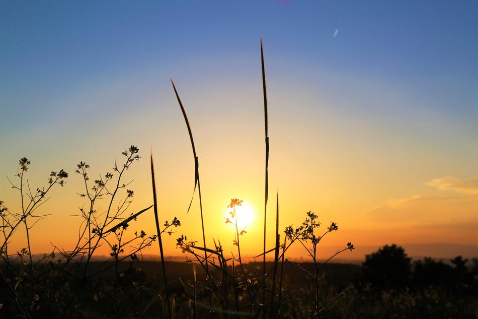 landscape of beautiful Sunset over the field