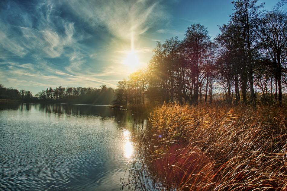 setting sun over the shore near the lake