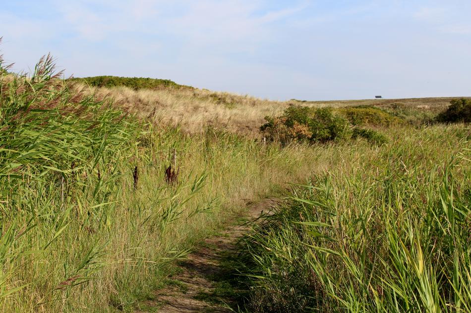 distant view of the Langeoog dune