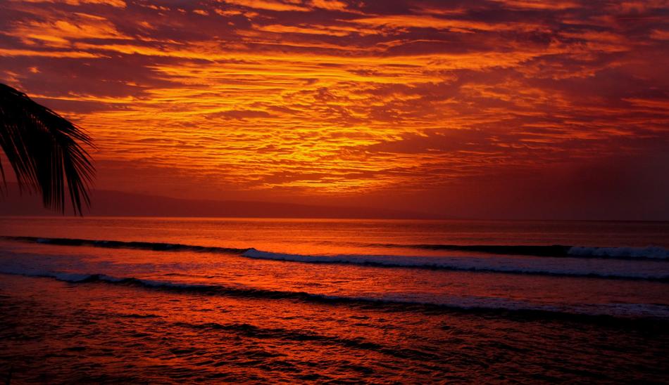 wonderful Colorful Ocean